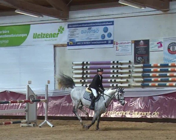 Reitturnier Eicherloh RH Laurent/Obb. 2024