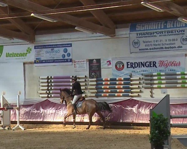 Reitturnier Eicherloh RH Laurent/Obb. 2024