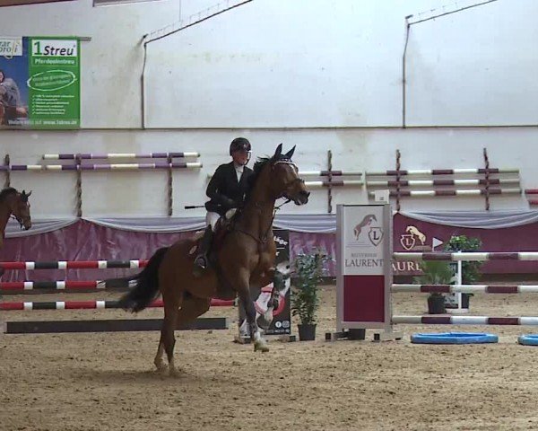 Reitturnier Eicherloh RH Laurent/Obb. 2024