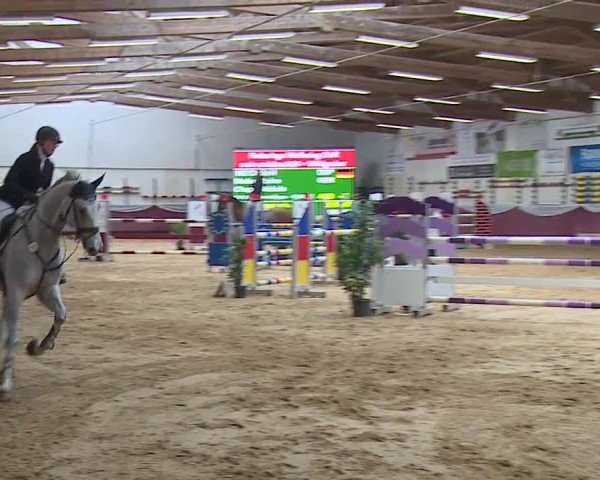 Reitturnier Eicherloh RH Laurent/Obb. 2024