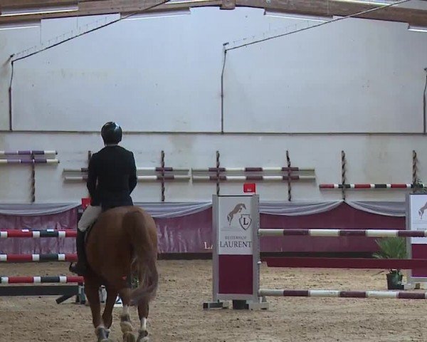 Reitturnier Eicherloh RH Laurent/Obb. 2024