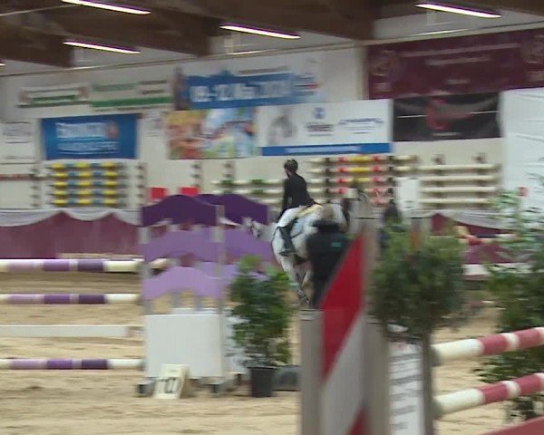 Reitturnier Eicherloh RH Laurent/Obb. 2024