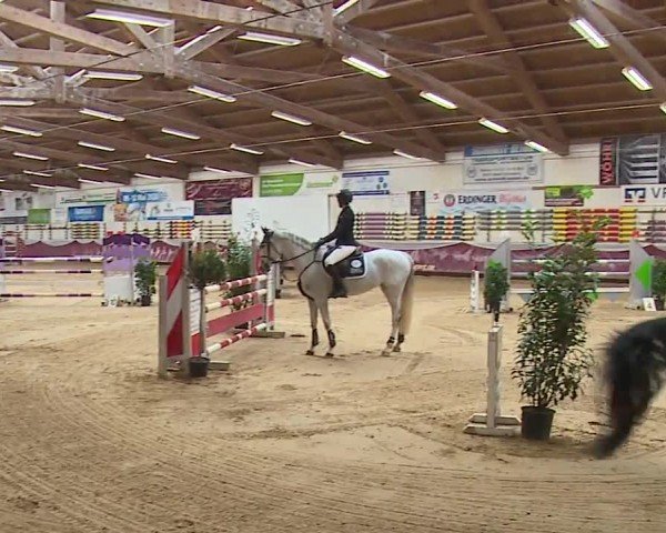 Reitturnier Eicherloh RH Laurent/Obb. 2024