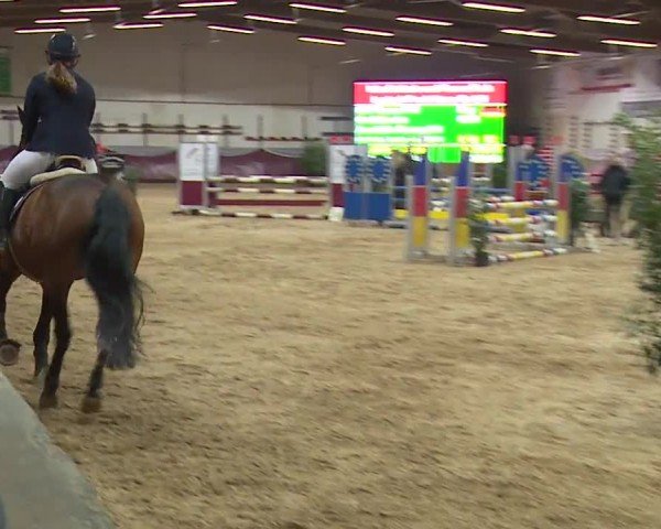 Reitturnier Eicherloh RH Laurent/Obb. 2024