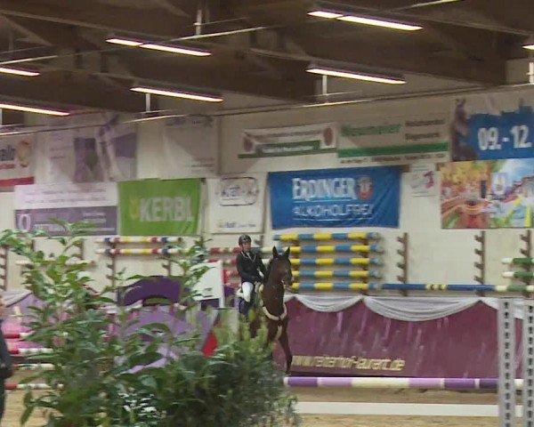 Reitturnier Eicherloh RH Laurent/Obb. 2024