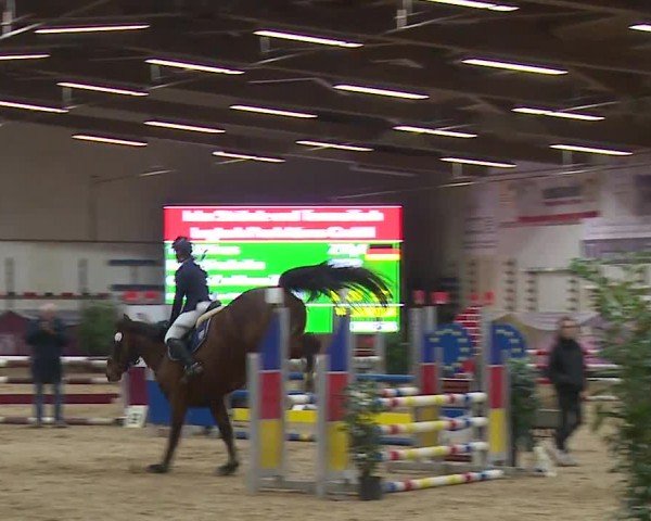 Reitturnier Eicherloh RH Laurent/Obb. 2024