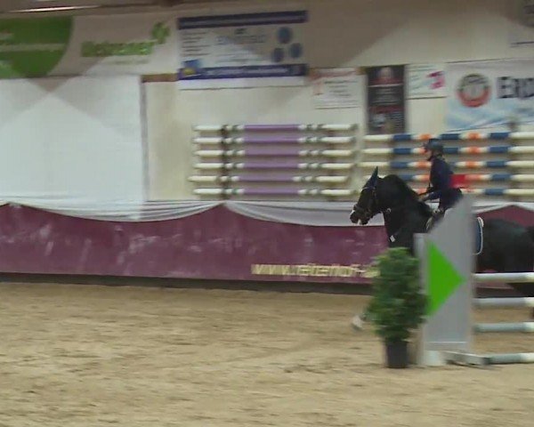 Reitturnier Eicherloh RH Laurent/Obb. 2024