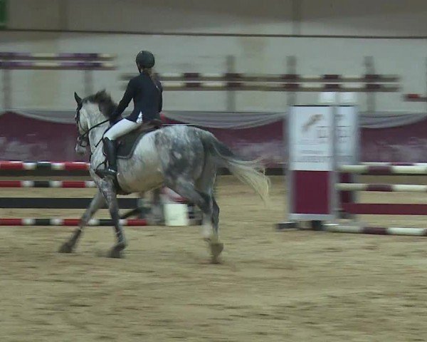 Reitturnier Eicherloh RH Laurent/Obb. 2024