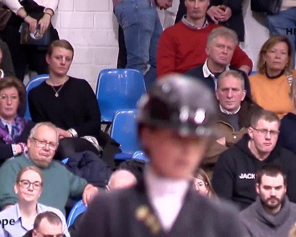 Online Hengstschau Helgstrand 2024