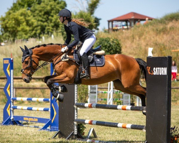 jumper Cindy N (Württemberger, 2011, from Ciacomo)