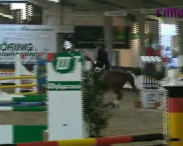 Vreden 2011