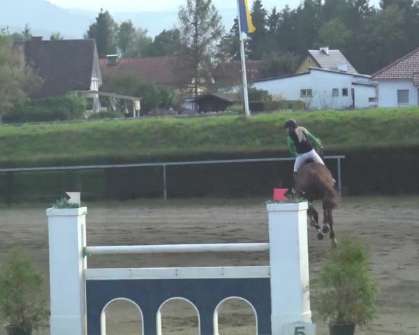 Reitturnier Sachendorf 2023