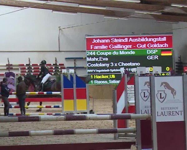 Reitturnier Eicherloh RH Laurent/Obb. 2024