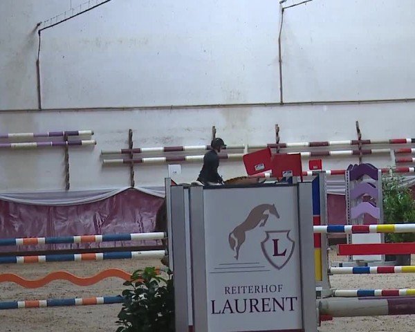 Reitturnier Eicherloh RH Laurent/Obb. 2024
