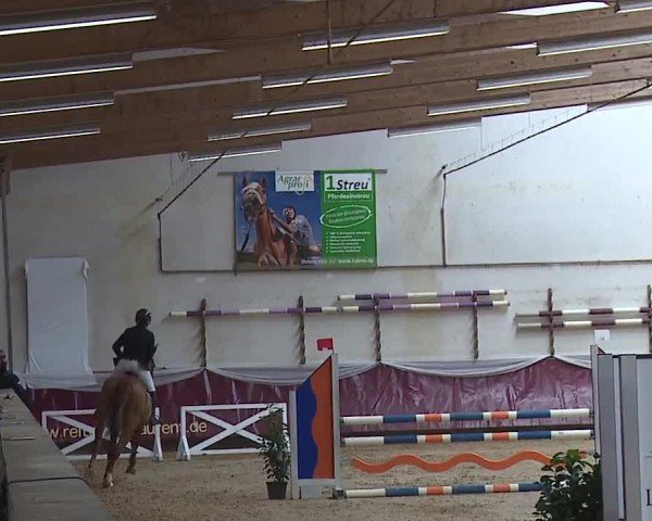 Reitturnier Eicherloh RH Laurent/Obb. 2024