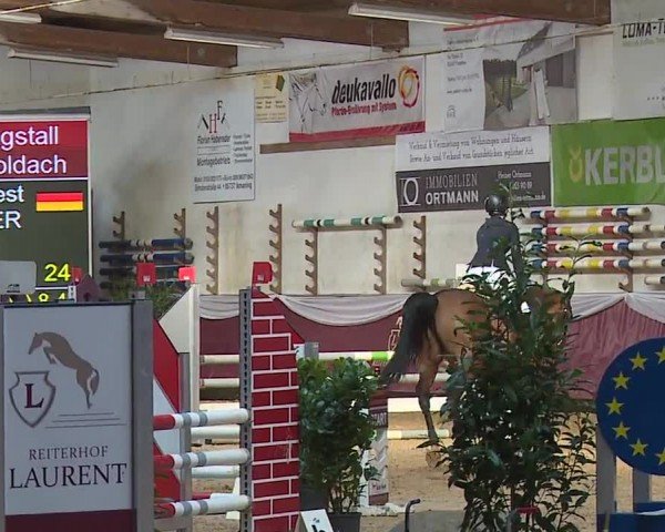 Reitturnier Eicherloh RH Laurent/Obb. 2024