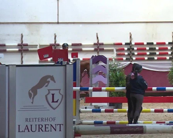Reitturnier Eicherloh RH Laurent/Obb. 2024