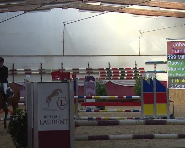 Reitturnier Eicherloh RH Laurent/Obb. 2024