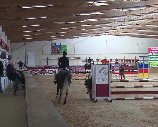 Reitturnier Eicherloh RH Laurent/Obb. 2024