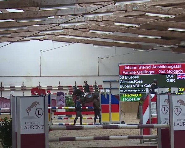Reitturnier Eicherloh RH Laurent/Obb. 2024