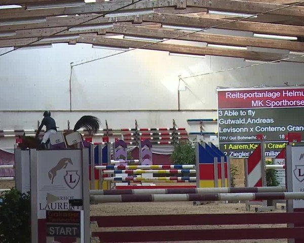 Reitturnier Eicherloh RH Laurent/Obb. 2024