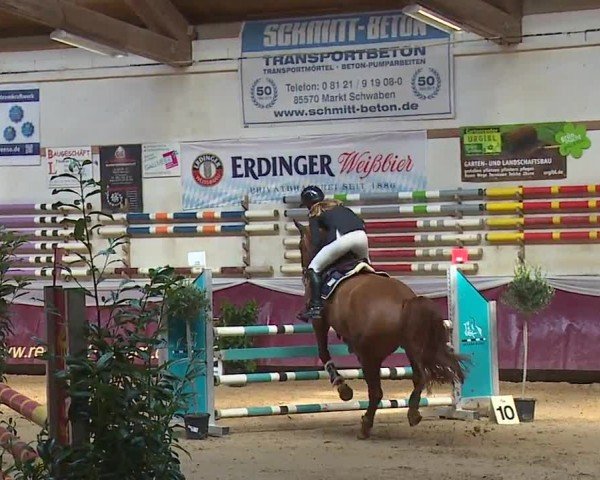 Reitturnier Eicherloh RH Laurent/Obb. 2024