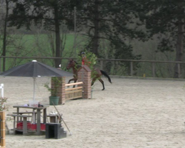 Reitturnier Erkrath - Uhlenhof 2024