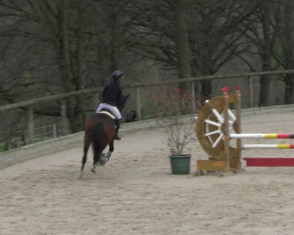 Reitturnier Erkrath - Uhlenhof 2024