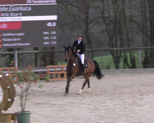 Reitturnier Erkrath - Uhlenhof 2024