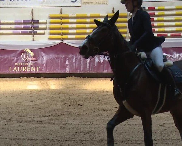 Reitturnier Eicherloh RH Laurent/Obb. 2024