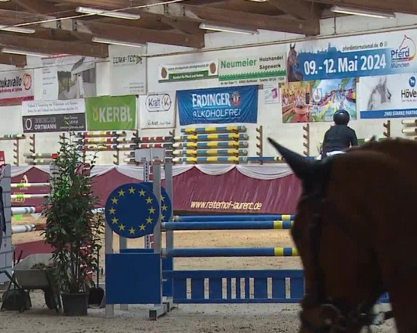 Reitturnier Eicherloh RH Laurent/Obb. 2024