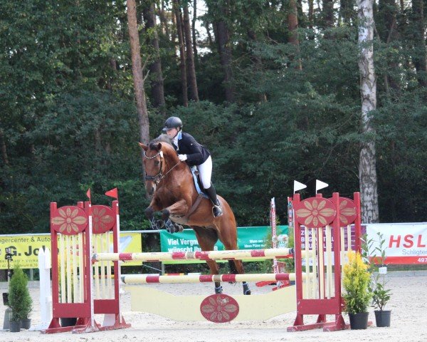 dressage horse Euros Comet (German Sport Horse, 2010, from Unbekannt)