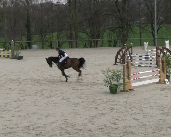 Reitturnier Erkrath - Uhlenhof 2024