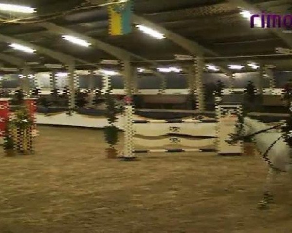 Vreden 2011