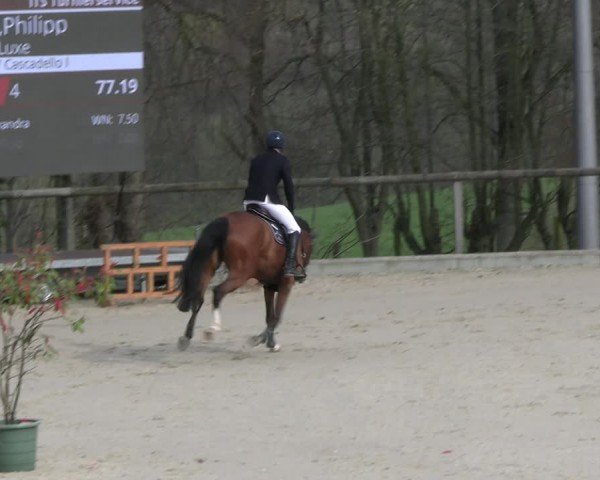 Reitturnier Erkrath - Uhlenhof 2024