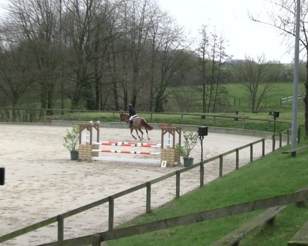 Reitturnier Erkrath - Uhlenhof 2024