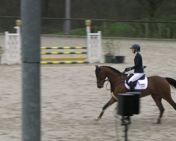 Reitturnier Erkrath - Uhlenhof 2024