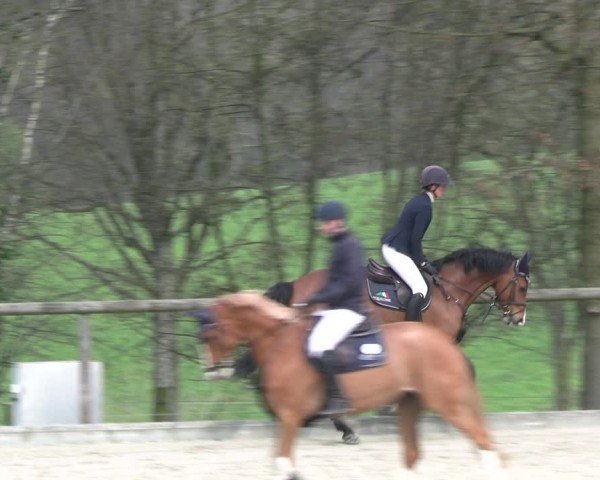 Reitturnier Erkrath - Uhlenhof 2024