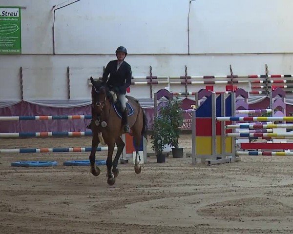 Reitturnier Eicherloh RH Laurent/Obb. 2024