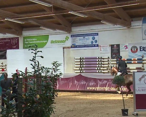 Reitturnier Eicherloh RH Laurent/Obb. 2024
