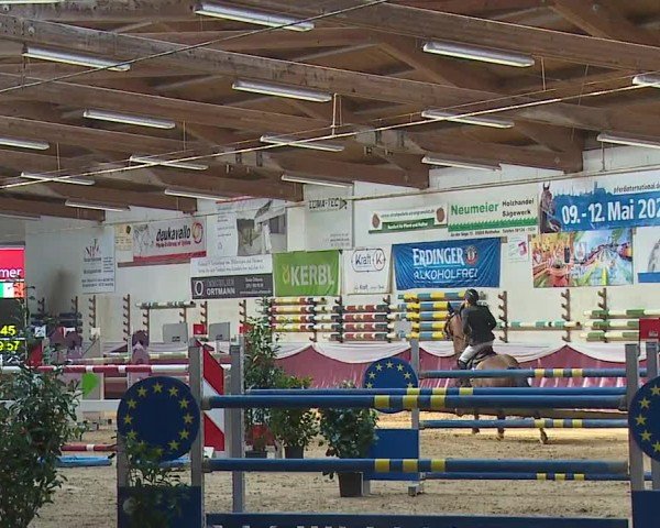 Reitturnier Eicherloh RH Laurent/Obb. 2024