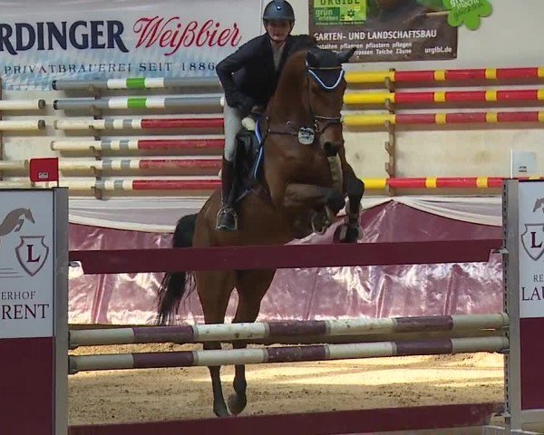 Reitturnier Eicherloh RH Laurent/Obb. 2024