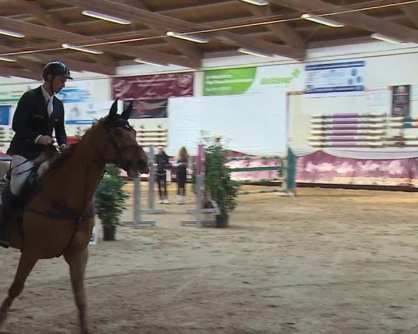 Reitturnier Eicherloh RH Laurent/Obb. 2024