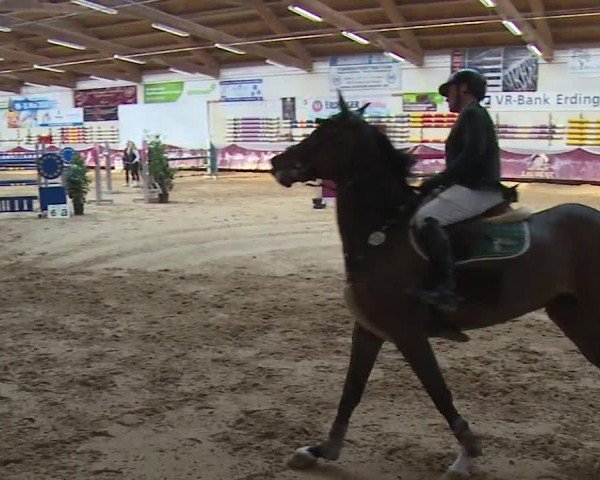 Reitturnier Eicherloh RH Laurent/Obb. 2024