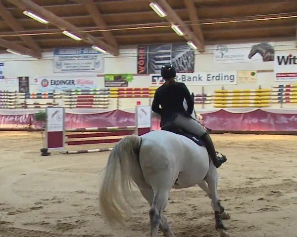 Reitturnier Eicherloh RH Laurent/Obb. 2024