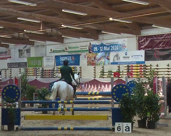 Reitturnier Eicherloh RH Laurent/Obb. 2024