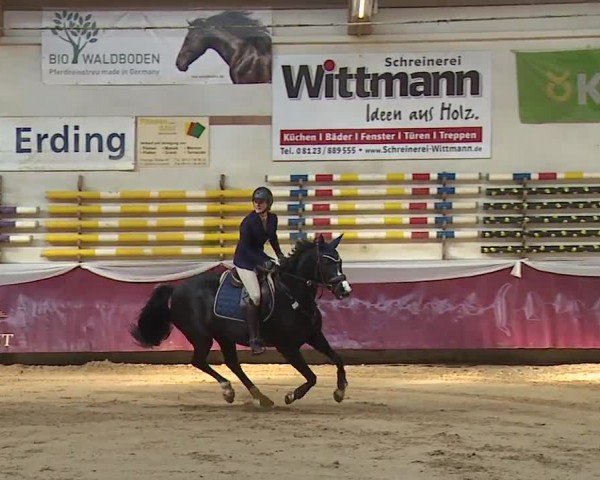 Reitturnier Eicherloh RH Laurent/Obb. 2024
