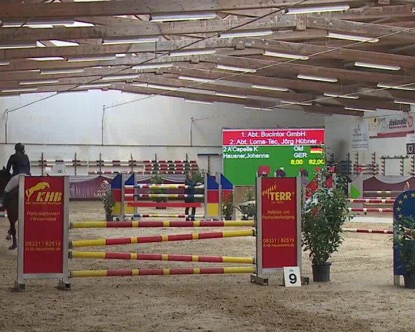 Reitturnier Eicherloh RH Laurent/Obb. 2024