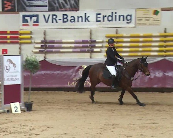 Reitturnier Eicherloh RH Laurent/Obb. 2024