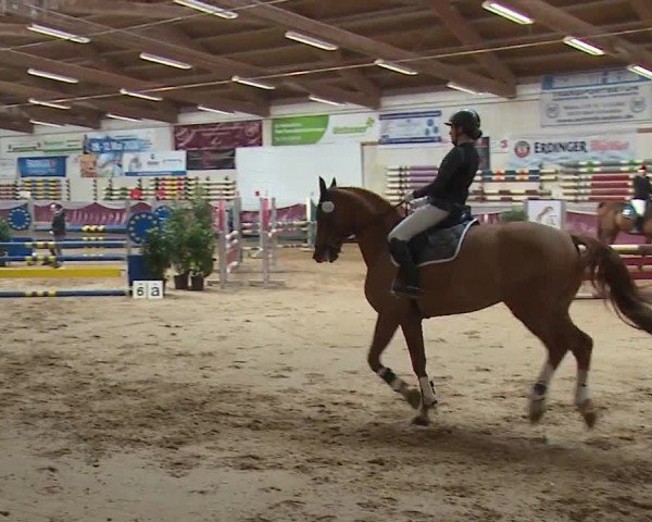 Reitturnier Eicherloh RH Laurent/Obb. 2024